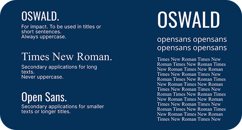 Leoo Website Example