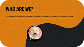 Prototype and Implement