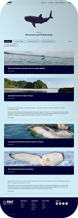 Leoo Merchandise Example